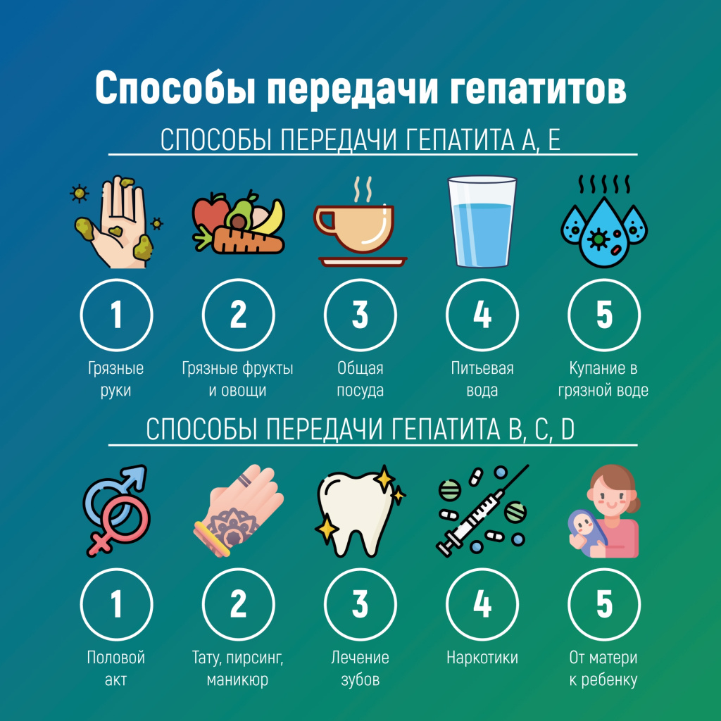 03 печень.jpg 03 печень.jpg