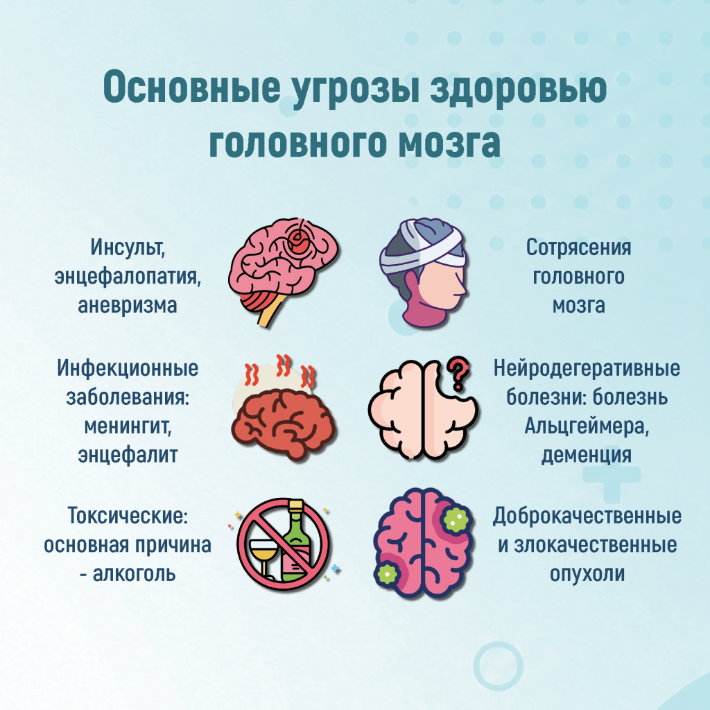 03 мозг.jpg