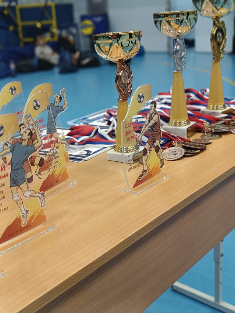 6 бронза СЗФО.jpg