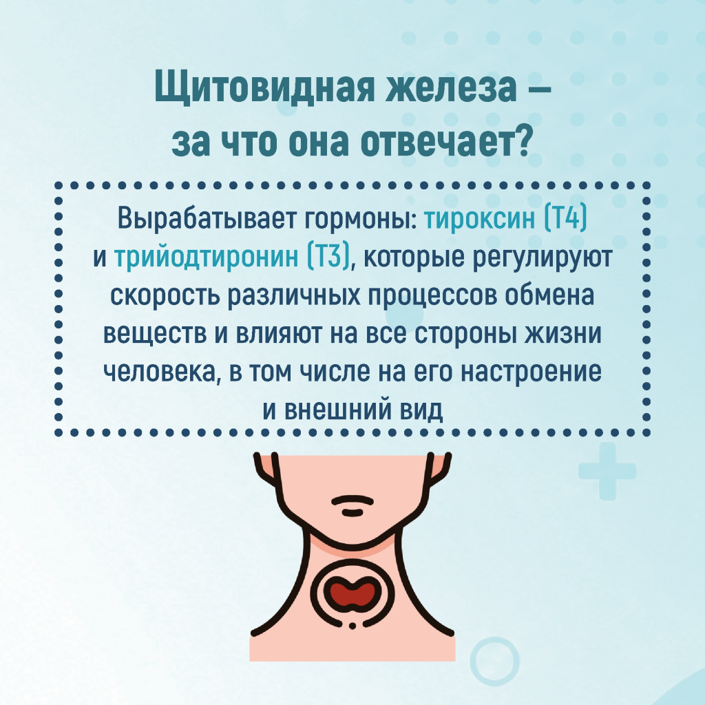 03 эндокрин.jpg 03 эндокрин.jpg