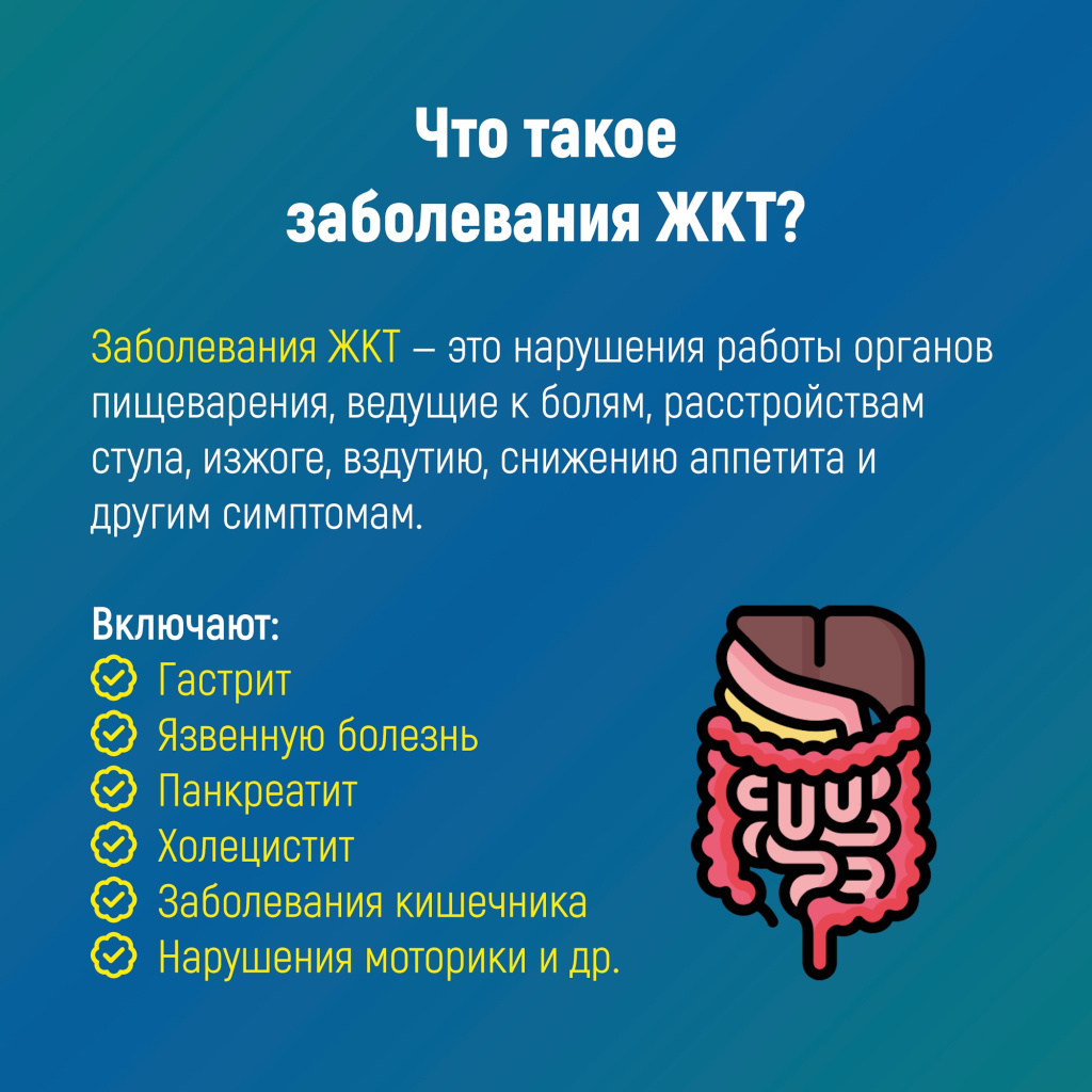 2 ЖКТ.jpg