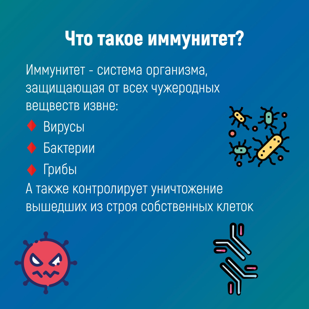 02 иммунитет.jpg