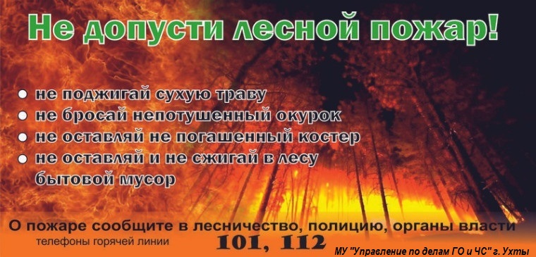 не допусти лесной пожар.jpg не допусти лесной пожар.jpg