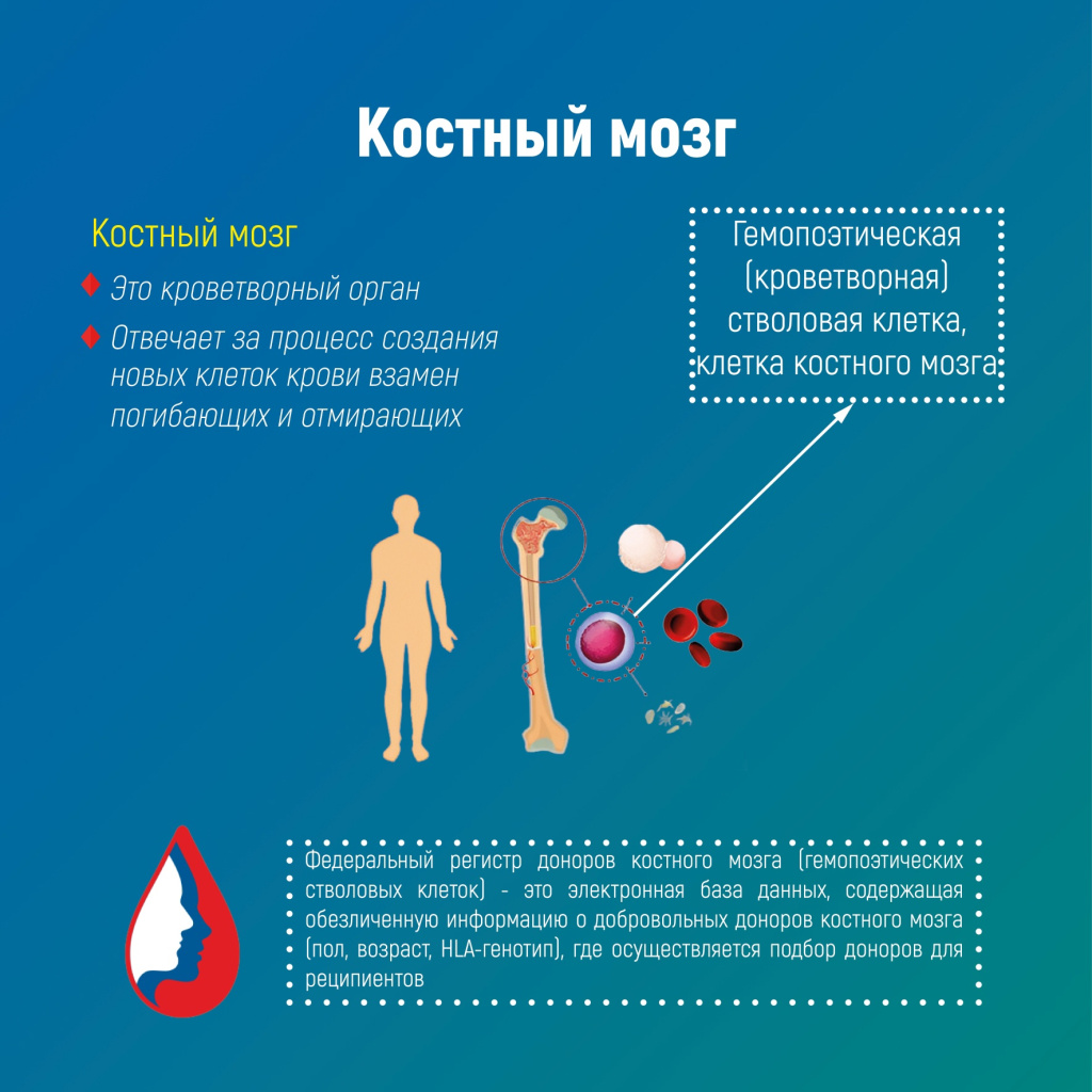 донор 03.jpg
