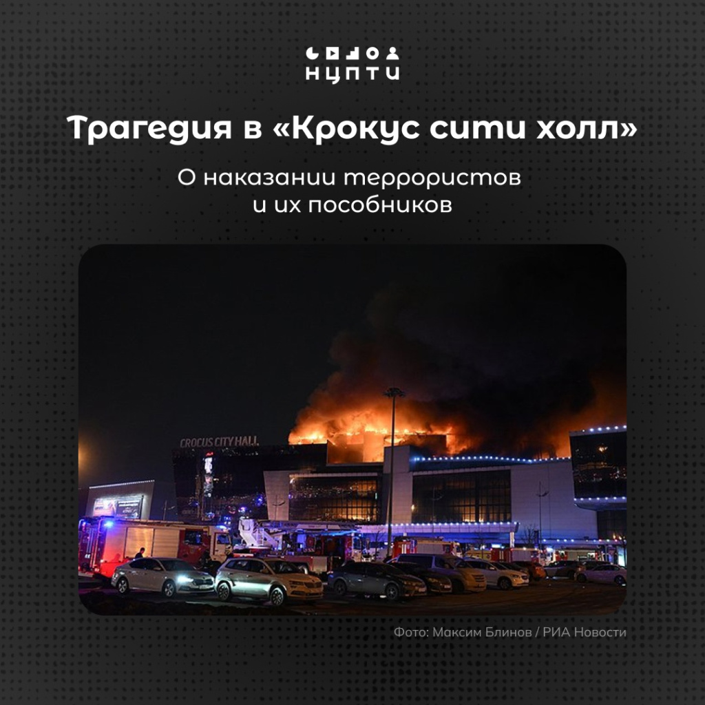 01 крокус.jpg