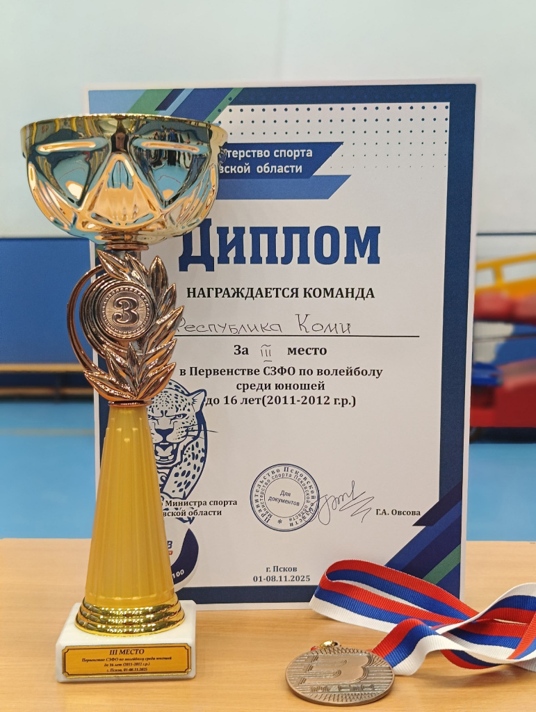 5 бронза СЗФО.jpg