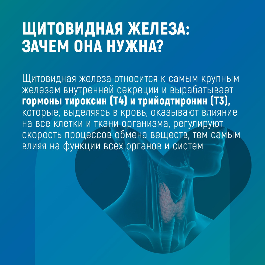 2.jpg 2.jpg