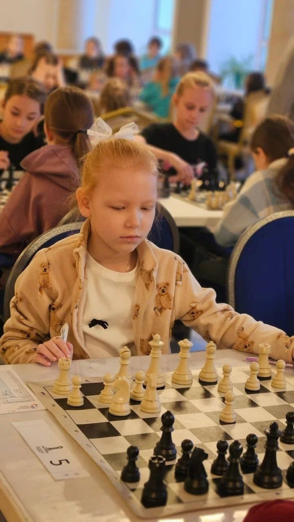 01 шахматы Кострома.jpg