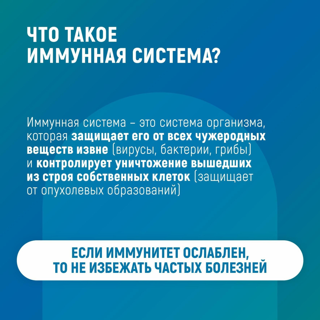2.jpg 2.jpg