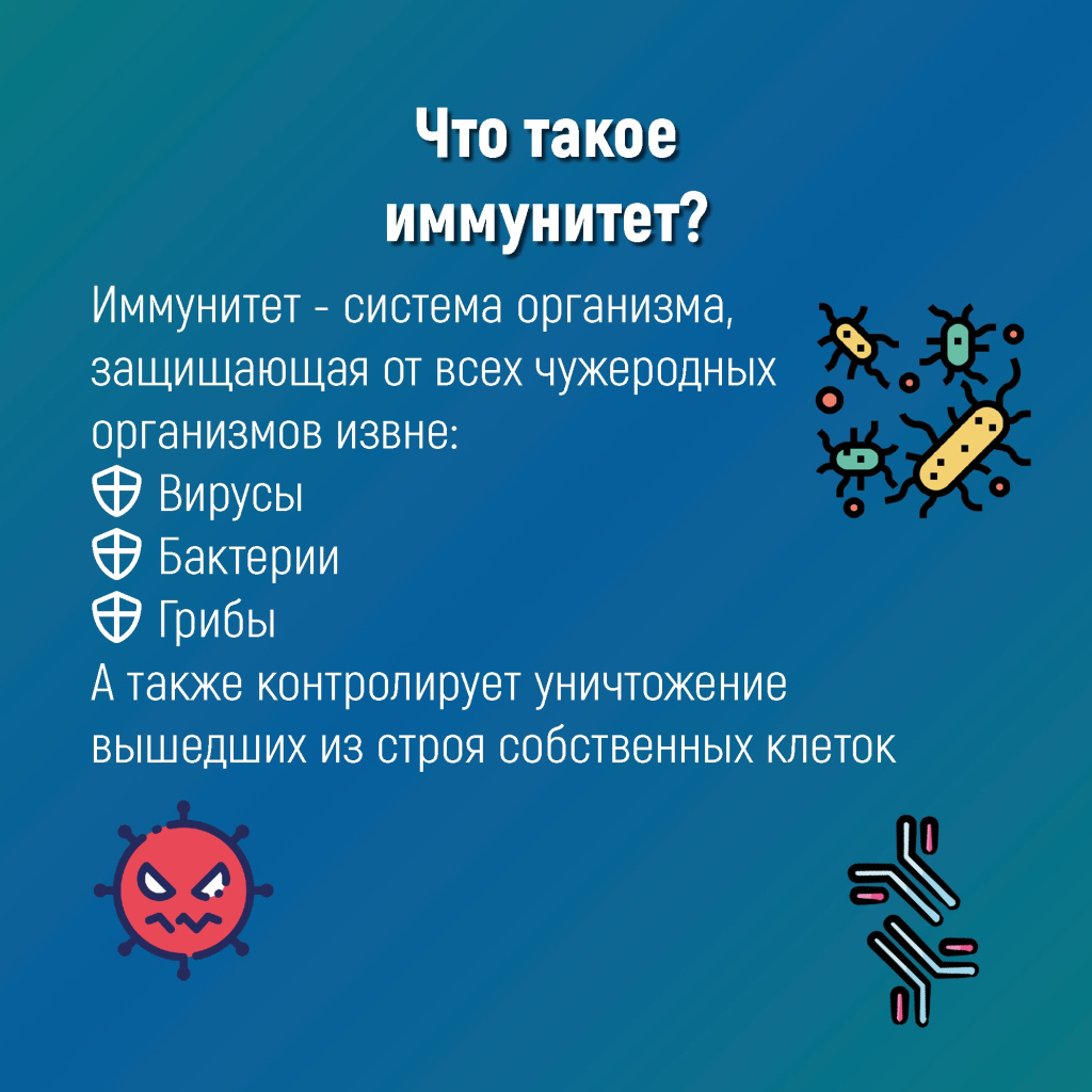 2 иммунитет.jpg 2 иммунитет.jpg