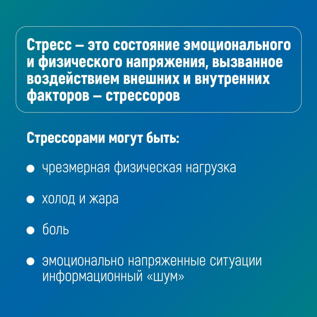 2.jpg 2.jpg