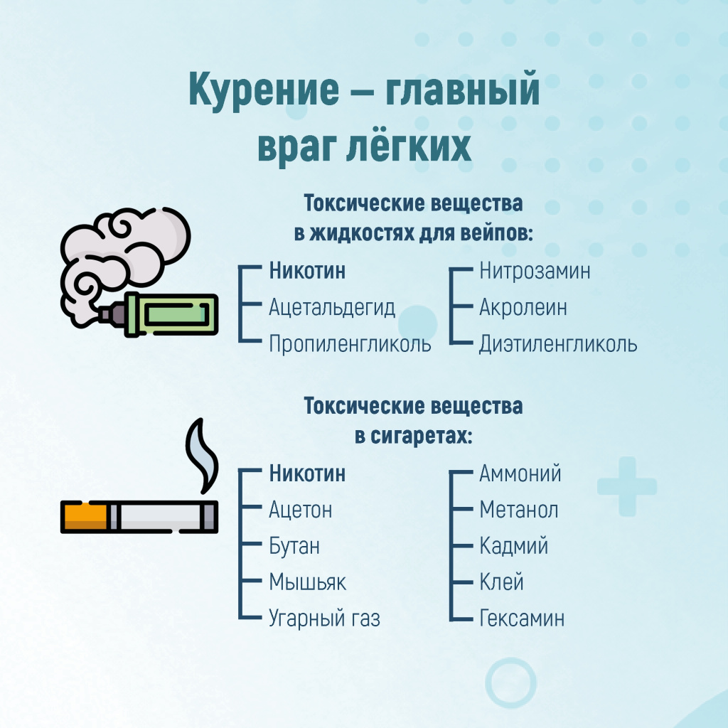 03 лёгкие.jpg 03 лёгкие.jpg