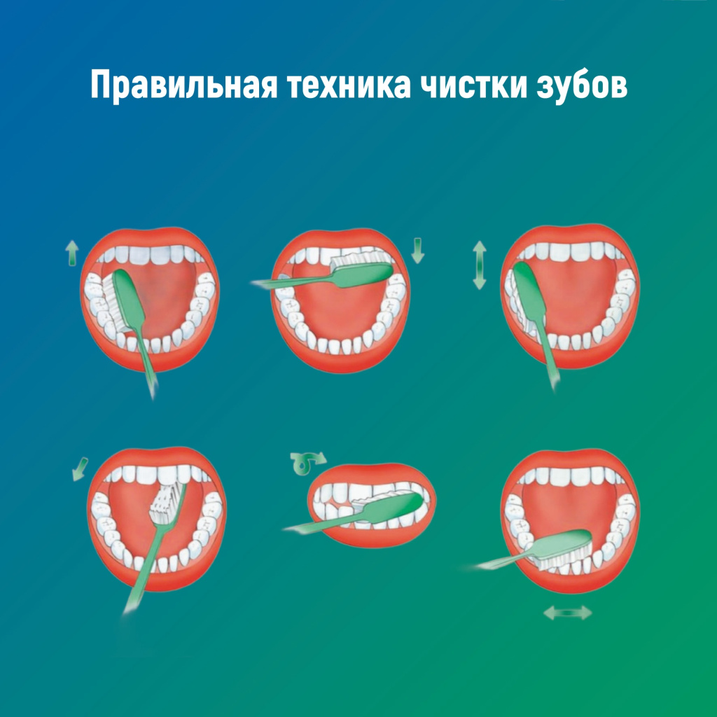 05 полости рта.jpg 05 полости рта.jpg