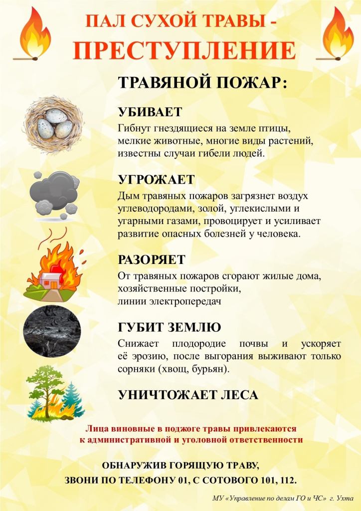 пал сухой травы.jpg