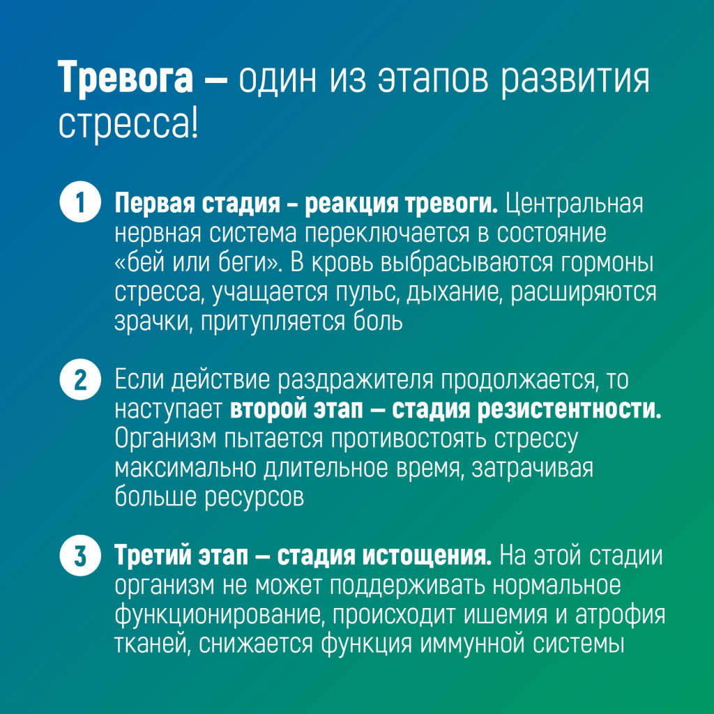 3.jpg 3.jpg