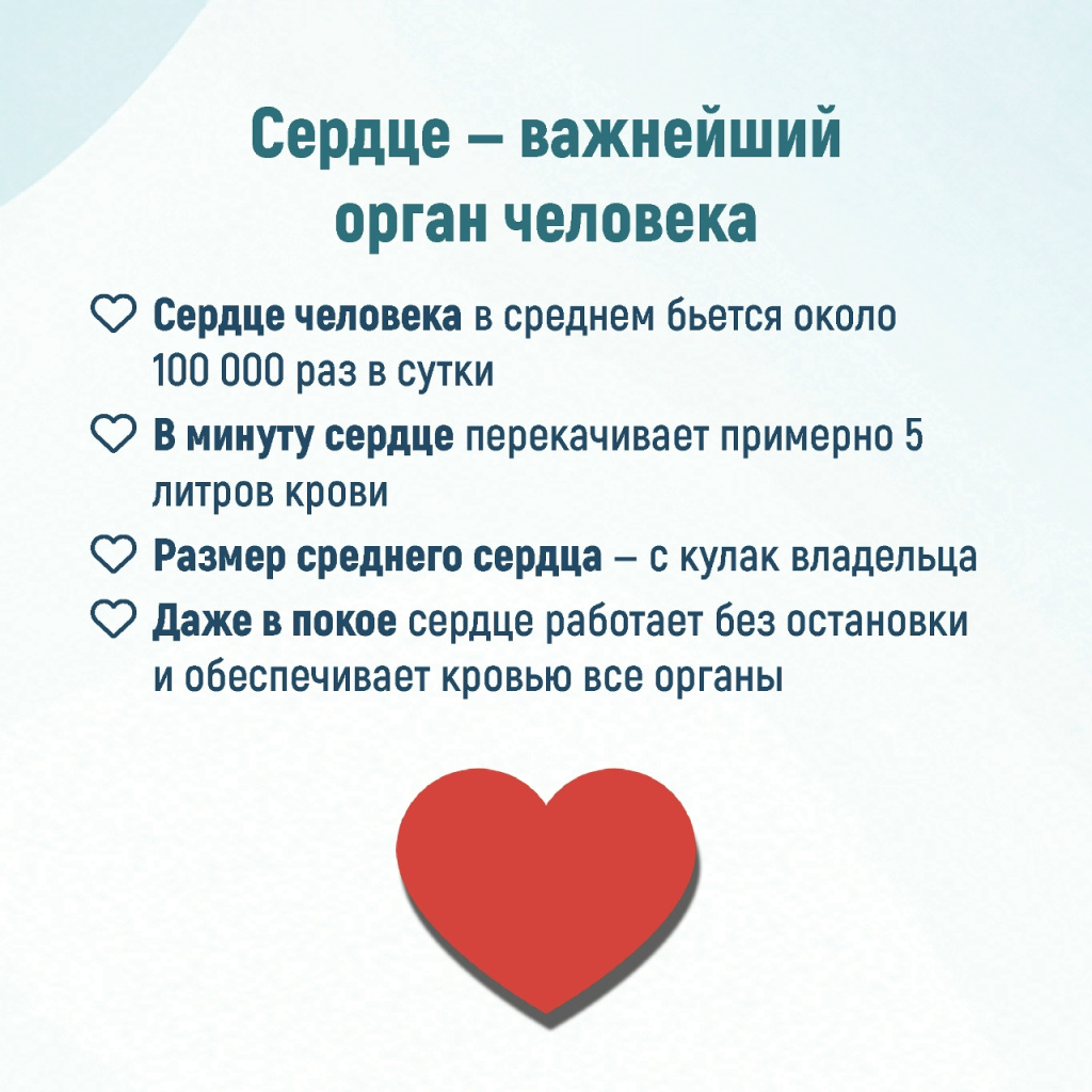 2.jpg 2.jpg