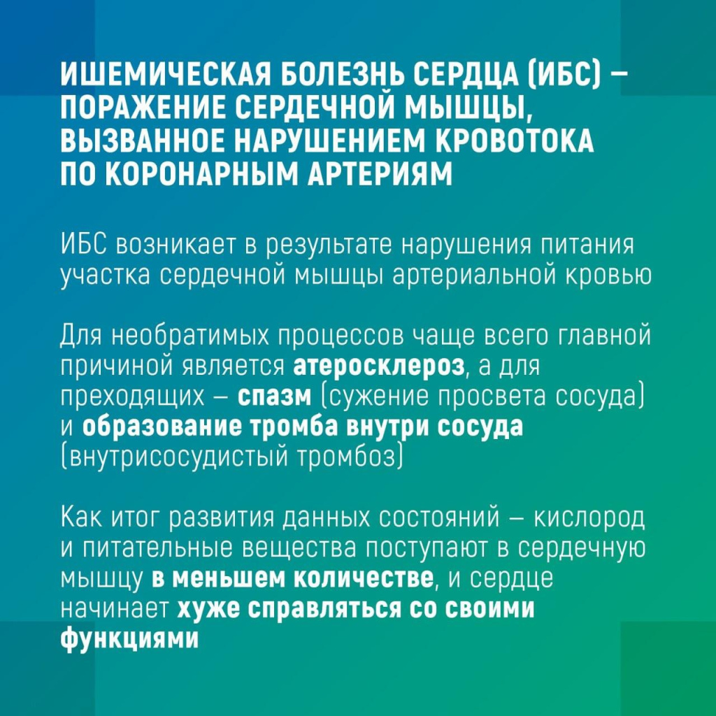 5.jpg 5.jpg
