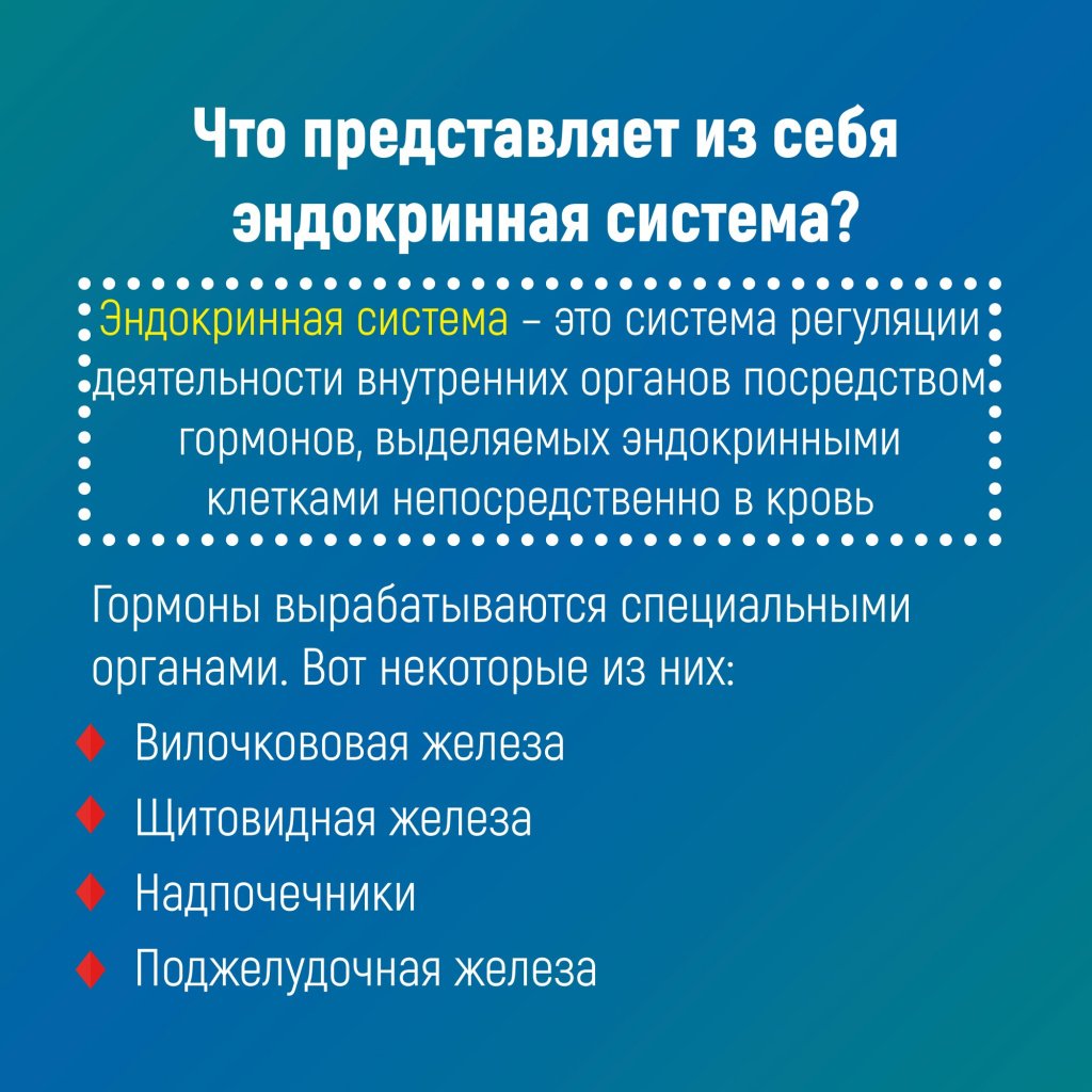 02 эндокри.jpg