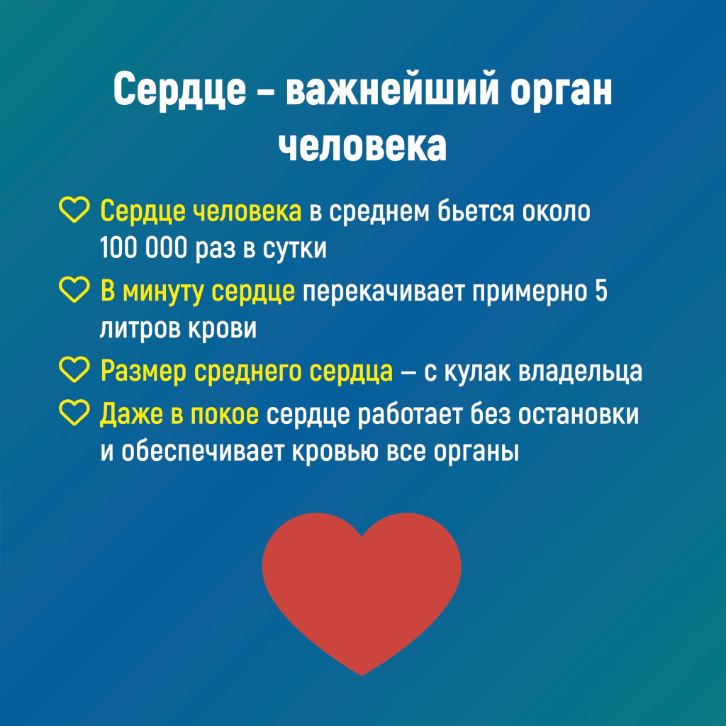 2 сердце.jpg