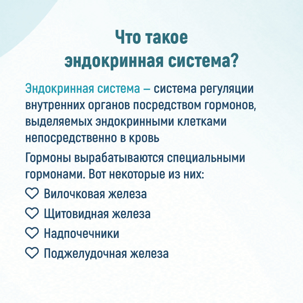 02 эндокрин.jpg 02 эндокрин.jpg