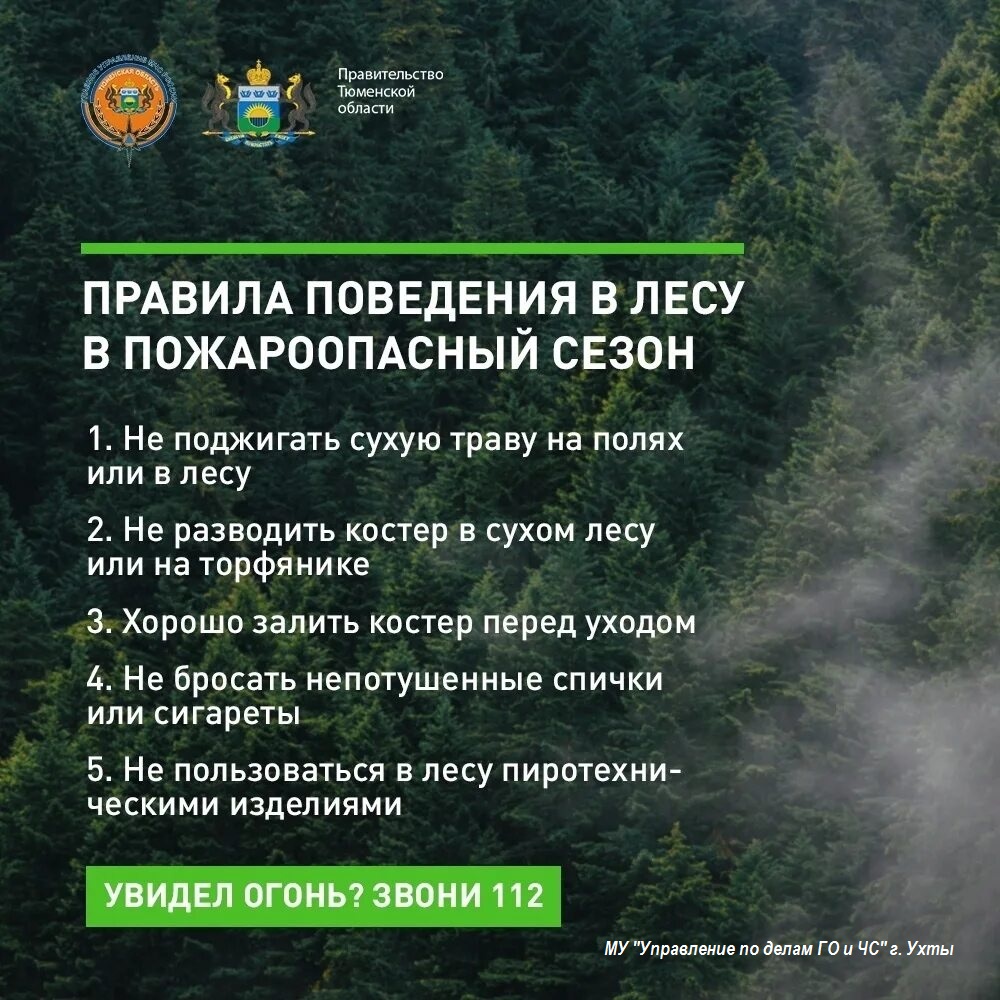 правила поведения в лесу.jpg правила поведения в лесу.jpg