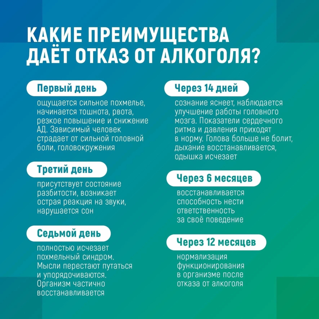 04 алко.jpg