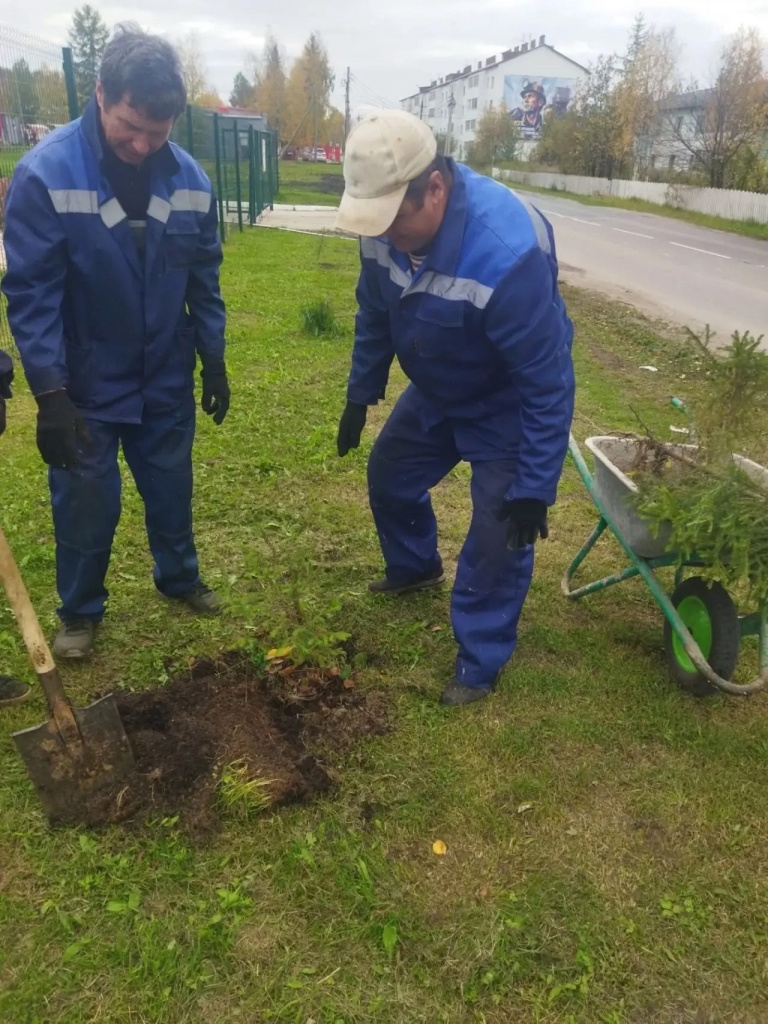 01 субботник Зелёная Россия Шахтёр.jpg