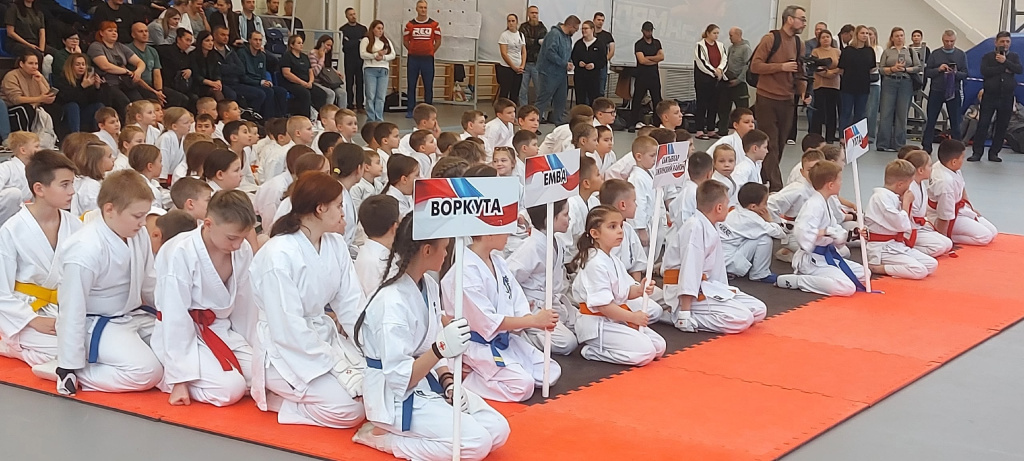 6 каратэ.jpg