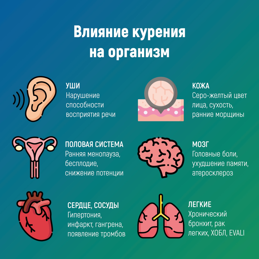 03 никотин.jpg