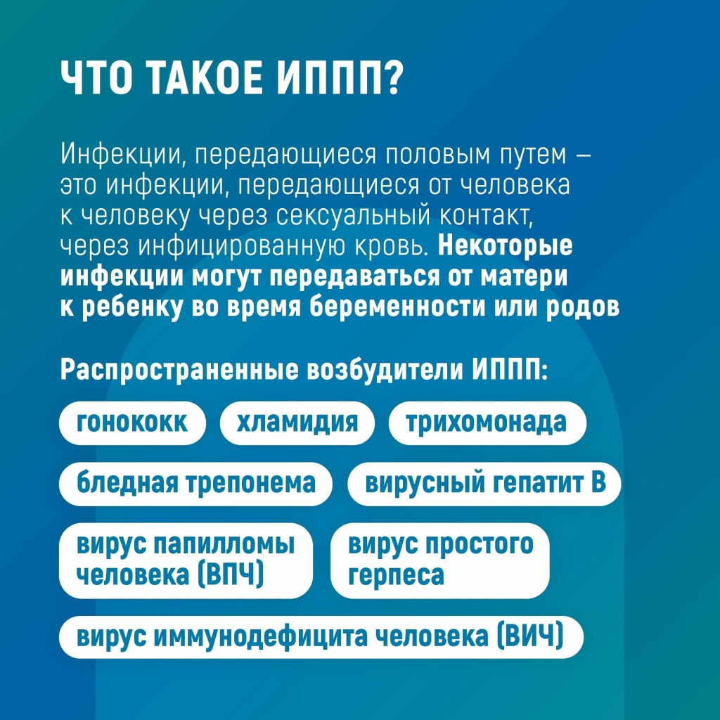2.jpg 2.jpg