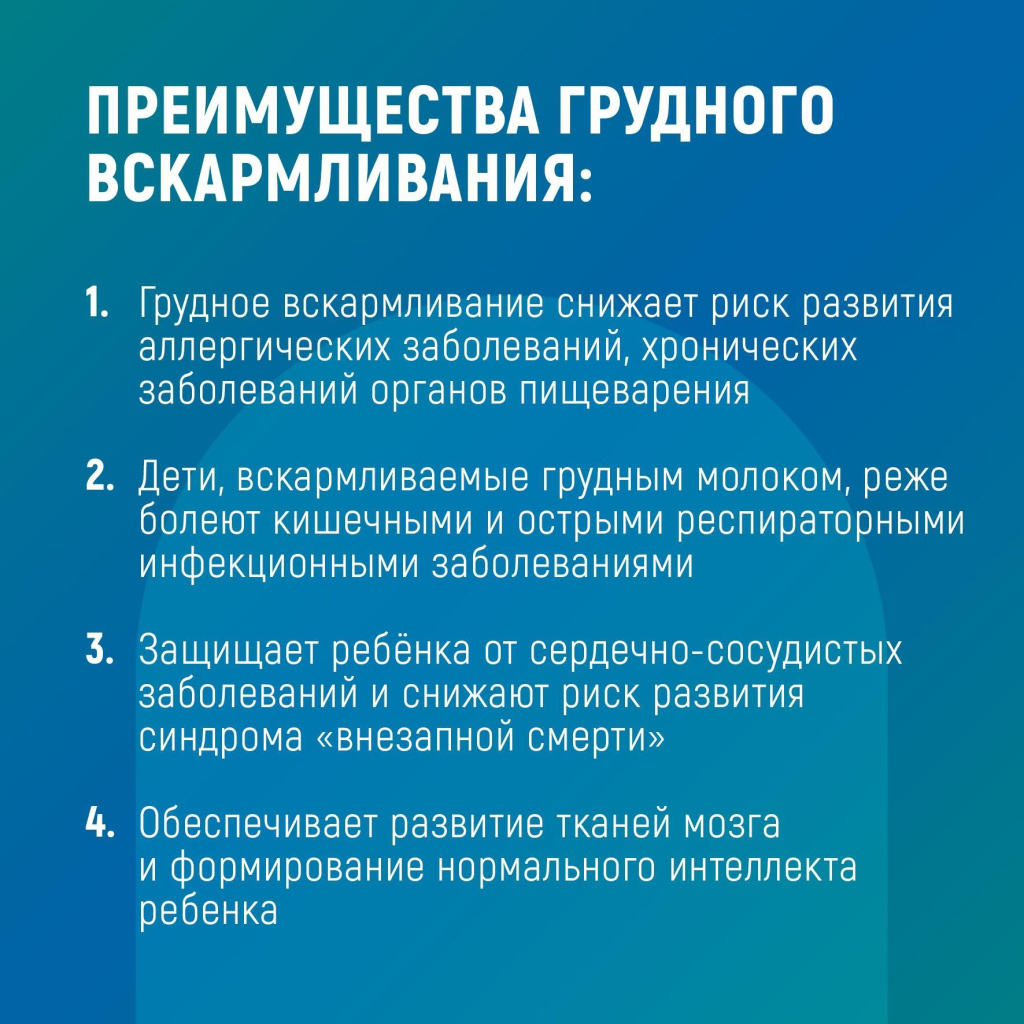 2.jpg 2.jpg
