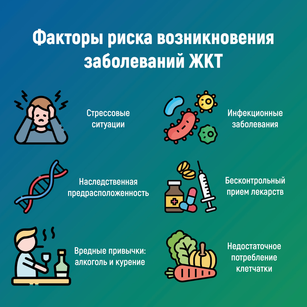 3 ЖКТ.jpg